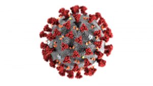 COVID-19 Coronavirus Support